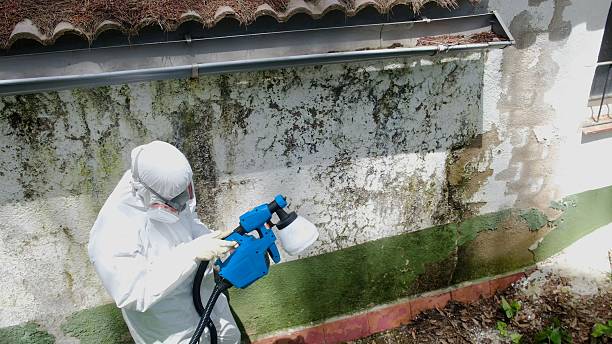 Top rated local Mold Cleanup specialists in Middletown, VA